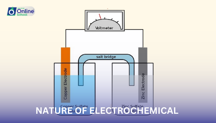 Lesson 08: Nature of Electrochemical Processes